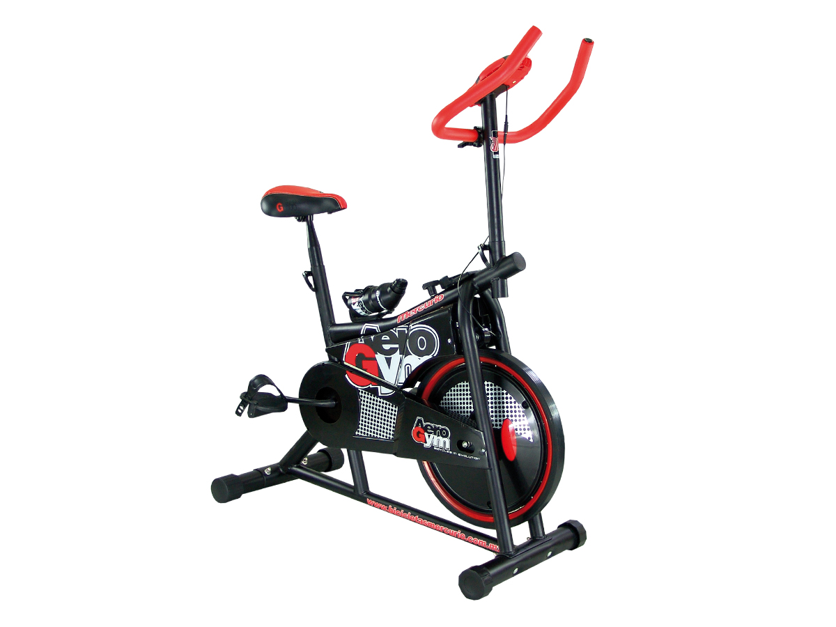 Bicicleta Mercurio Fija Para Ejercicio Aerogym Con Velocímetro