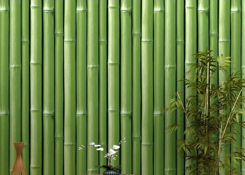 PAPEL TAPIZ ADHERIBLE BAMBU ROLLO 2m X 45cm TP51