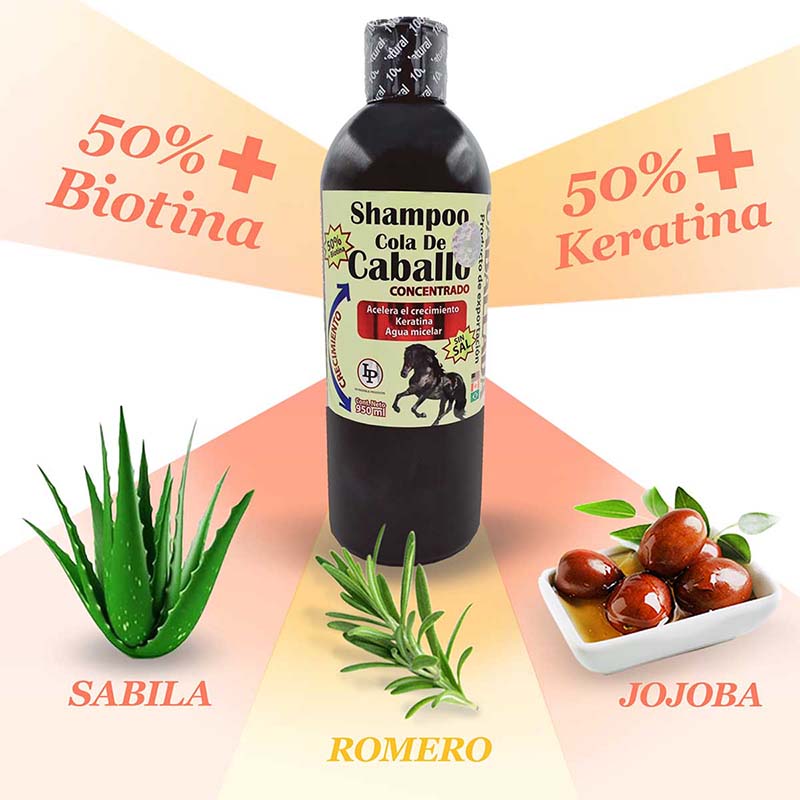 Shampoo Cola De Caballo Sin Sal + Keratina + Biotina Caballada para Fortalecimiento del Cabello 950ml