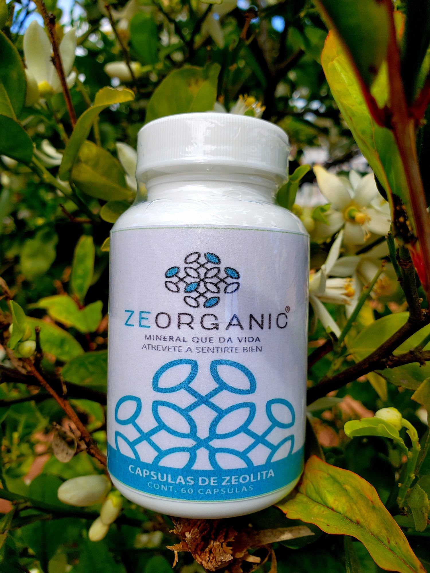 Zeolita Premium calidad certificada para consumo humano 60 cápsulas