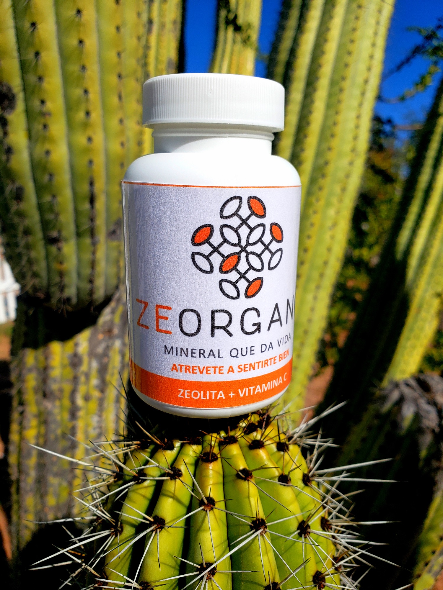 Zeolita Premium Calidad Certificada Con Vitamina C para consumo humano