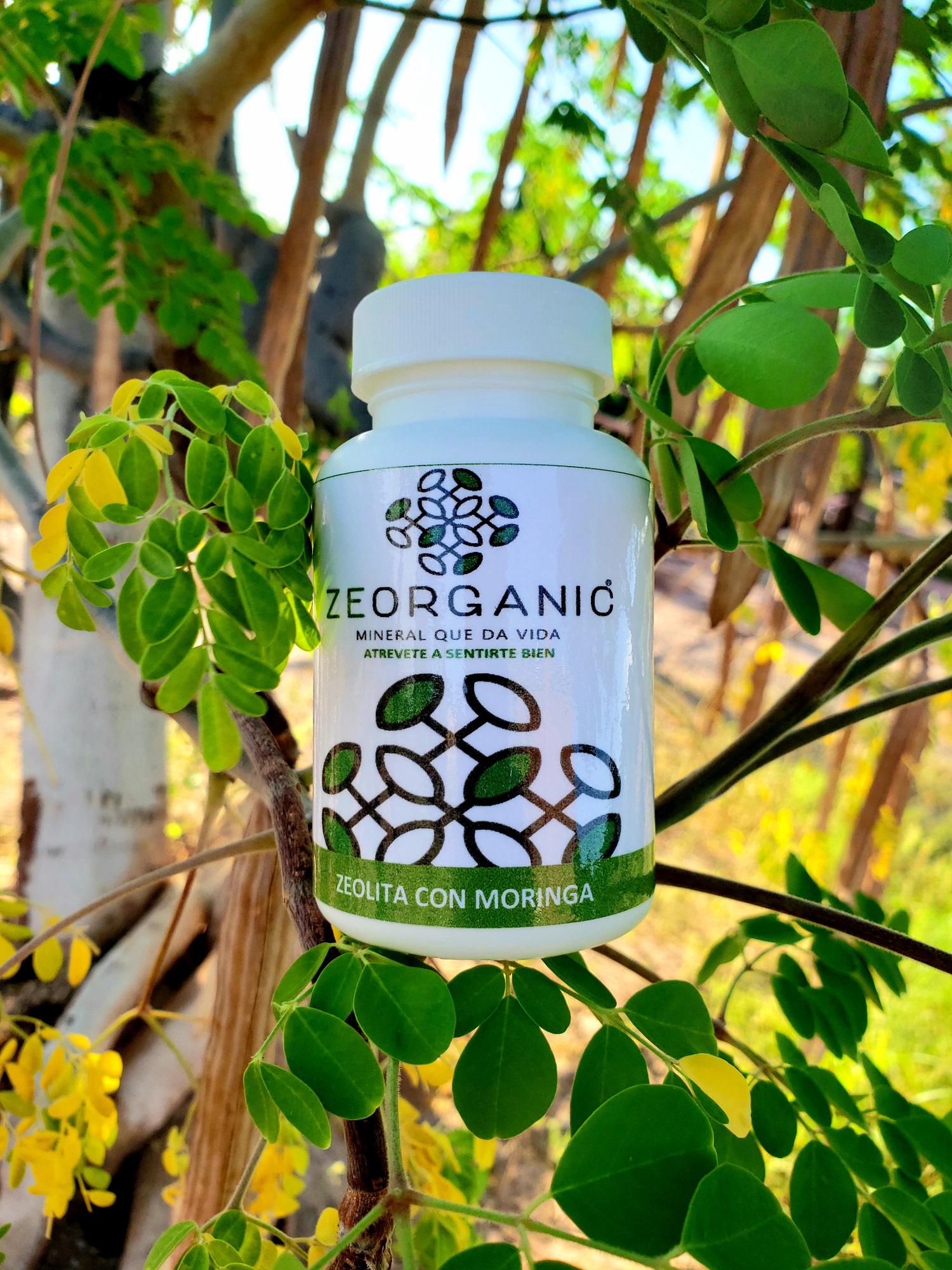 Zeolita Premium Calidad Certificada Con Moringa Para Consumo Humano