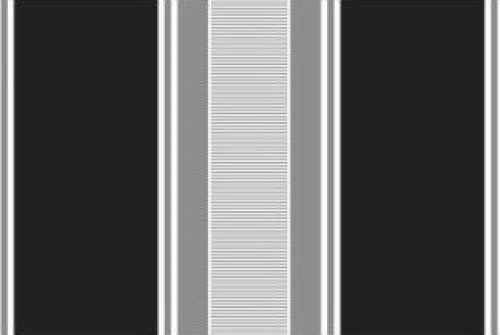 PAPEL TAPIZ ADHERIBLE RAYAS GRIS Y NEGRO 2m X 45cm TP21