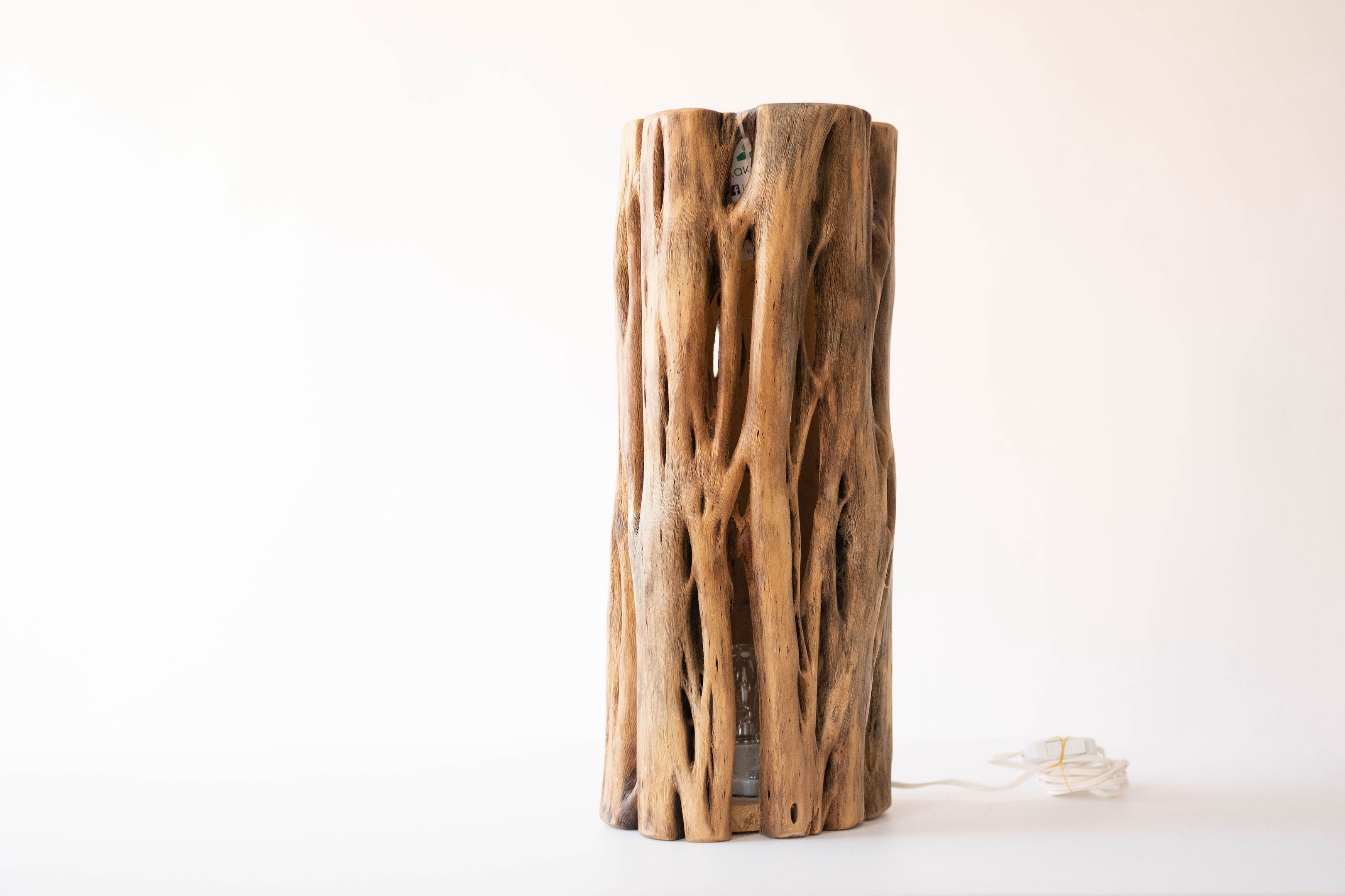 Lámpara De Madera De Cactus