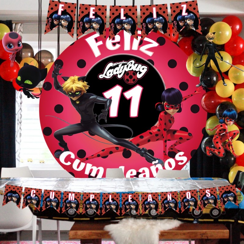 Kit decoración cumpleaños lady bug