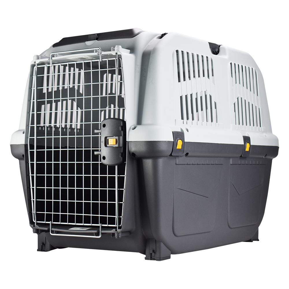 Transportadora Skudo Iata 5