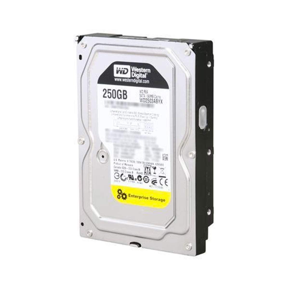 Western Digital Disco duro interno WD2503ABYX 250 GB 3.5" Internal Hard Drive - SATA