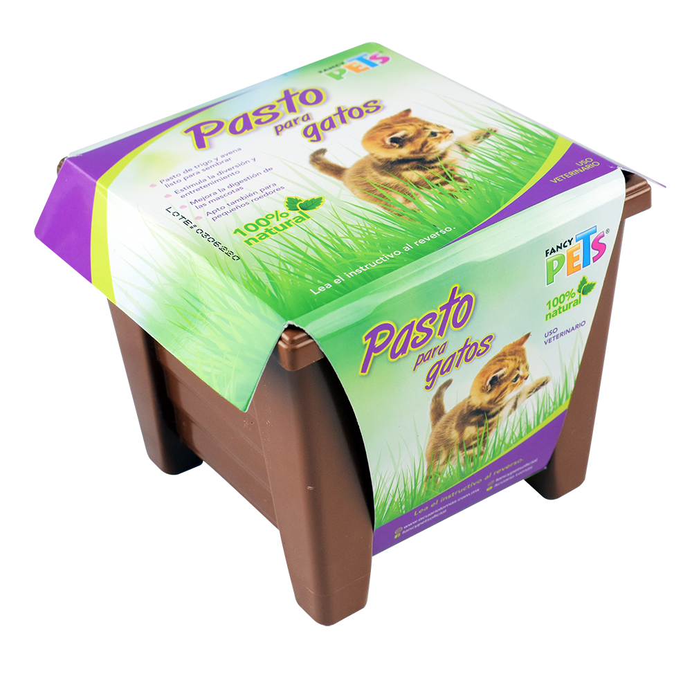 Pasto P/Gatos