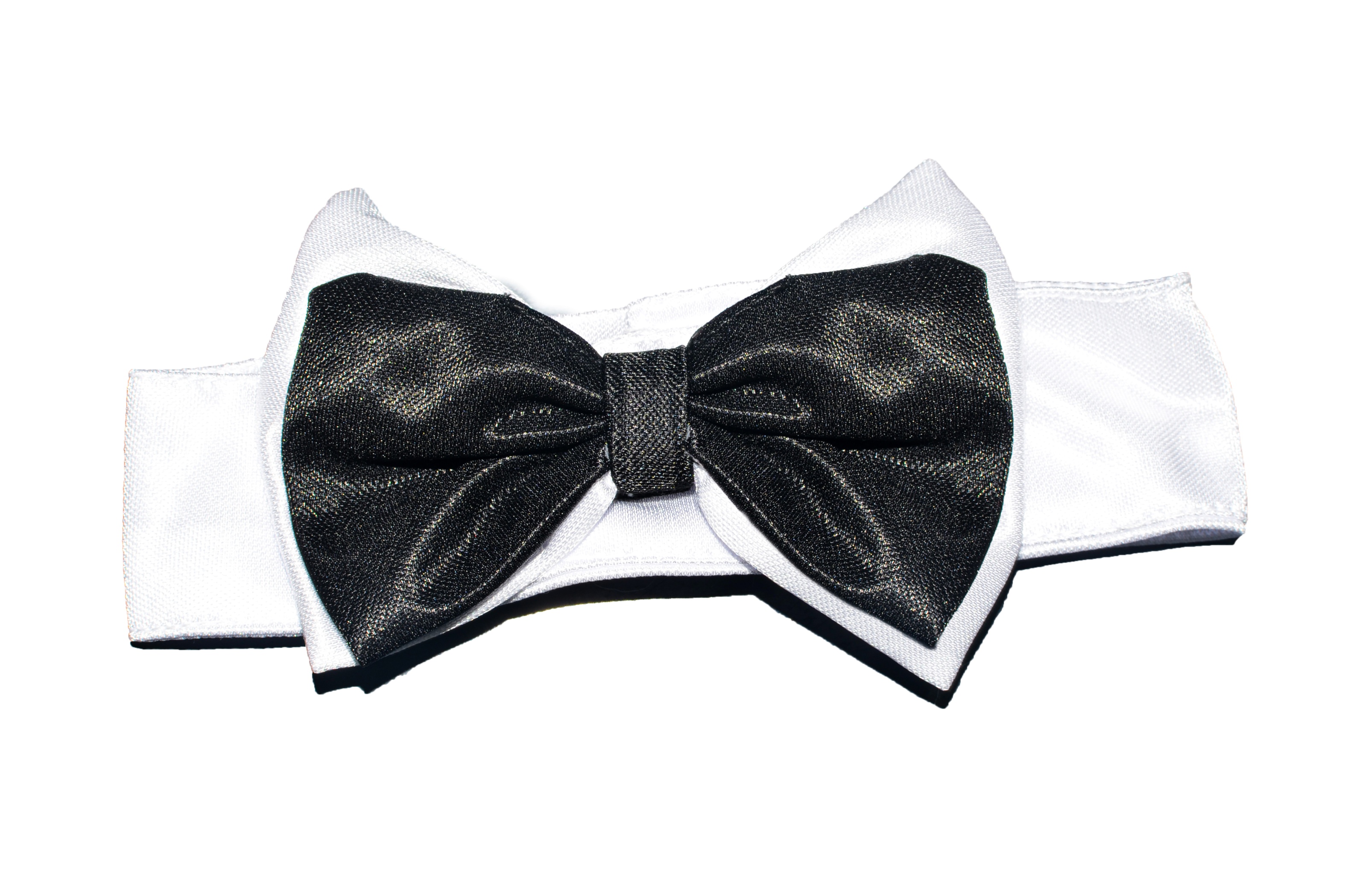 DISFRAZ CONEJA SEXY DAMA NEGRO 