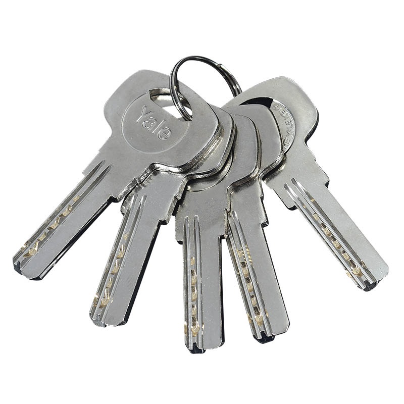 Gatillo Venecia Entrada Principal Yale