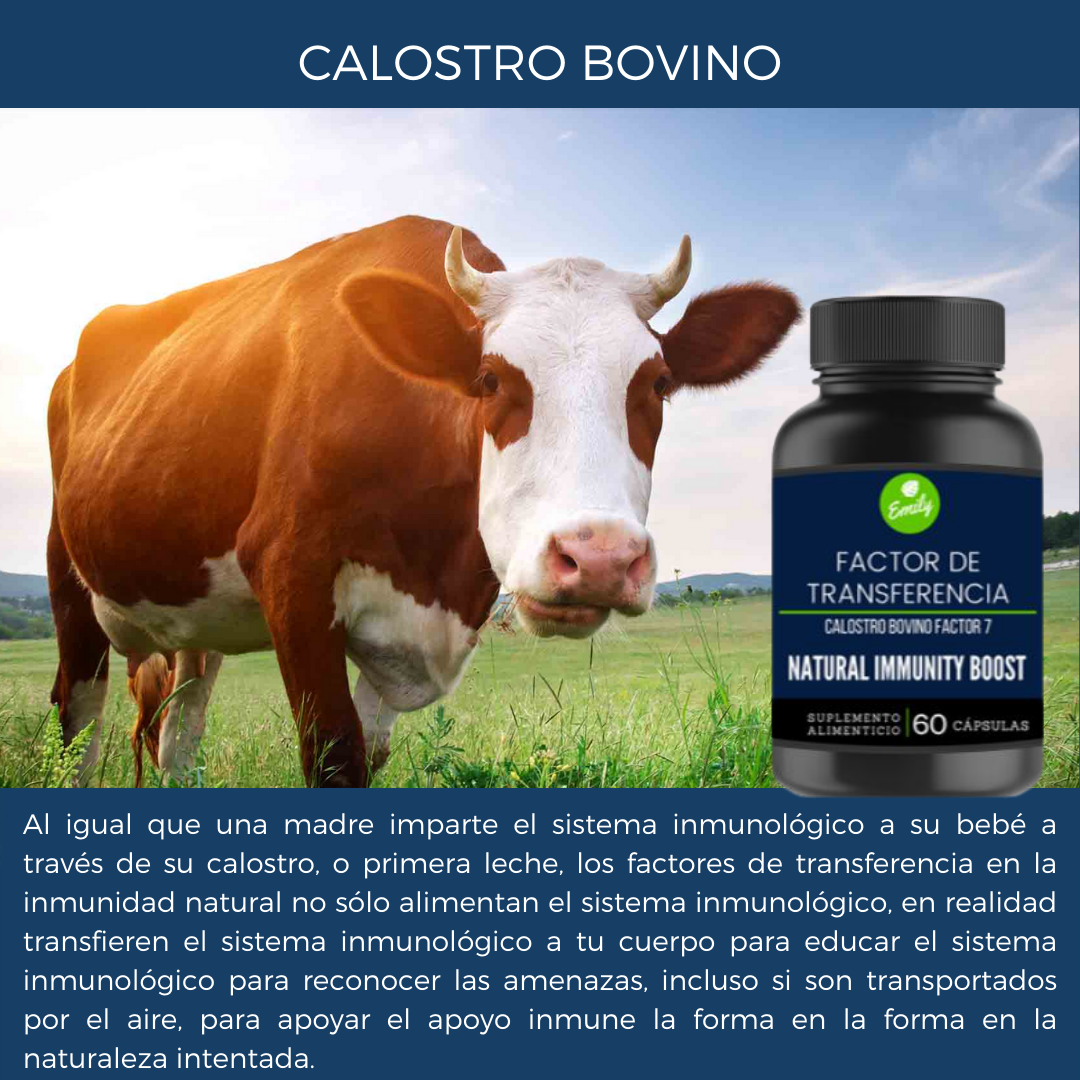 FACTOR DE TRANSFERENCIA, CALOSTRO BOVINO PREMIUM CONCENTRADO, 60 CAPSULAS 