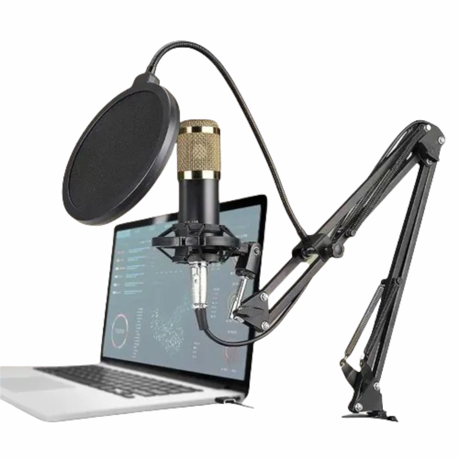 Soporte para Micrófono Condensador ideal para Estudio Filtro Pop Base de Brazo para micrófono