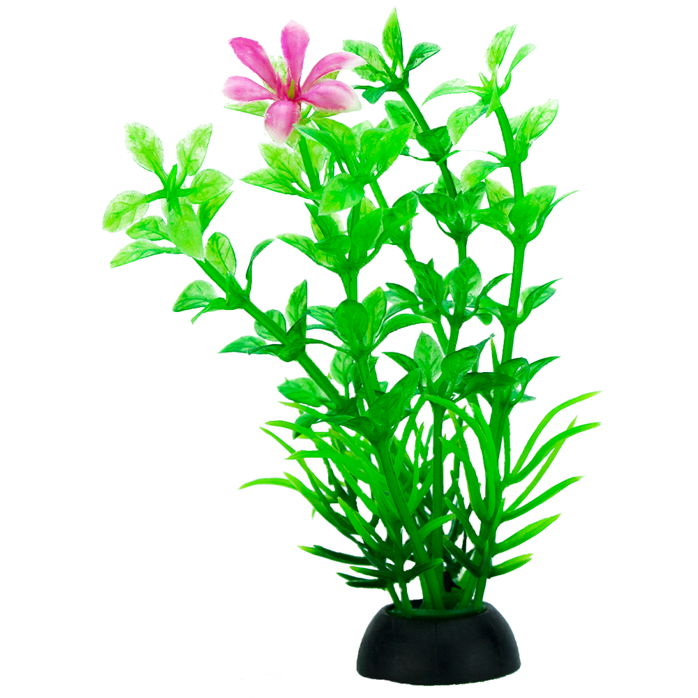Planta P/Acuario 7.5 Cm - 6 Pz