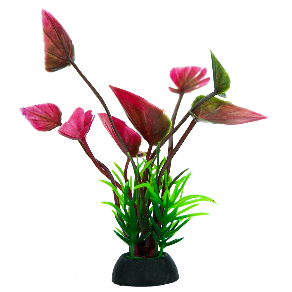 Planta P/Acuario 7.5 Cm - 6 Pz