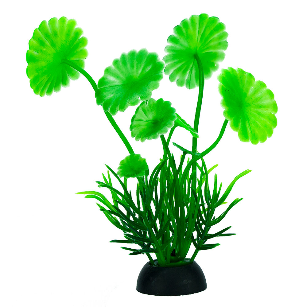 Planta P/Acuario 7.5 Cm - 6 Pz
