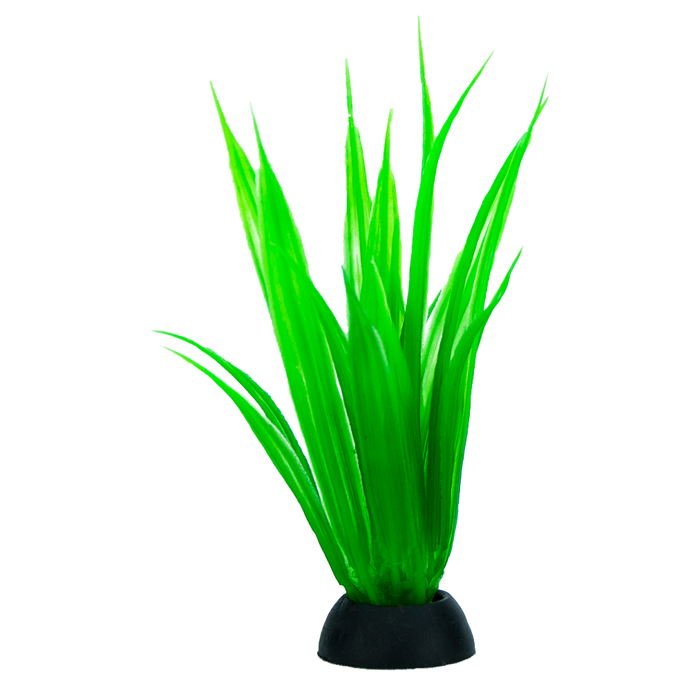 Planta P/Acuario 7.5 Cm - 6 Pz