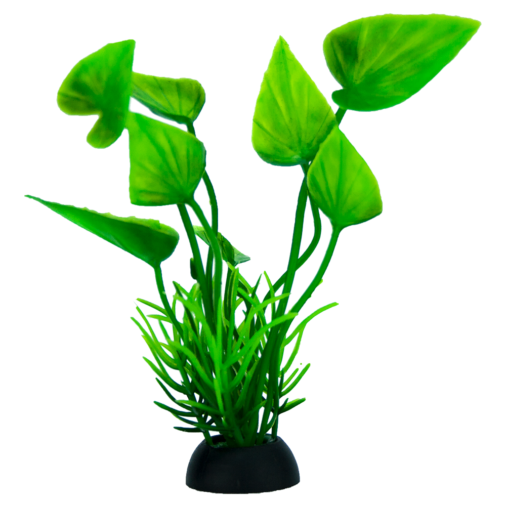 Planta P/Acuario 7.5 Cm - 6 Pz