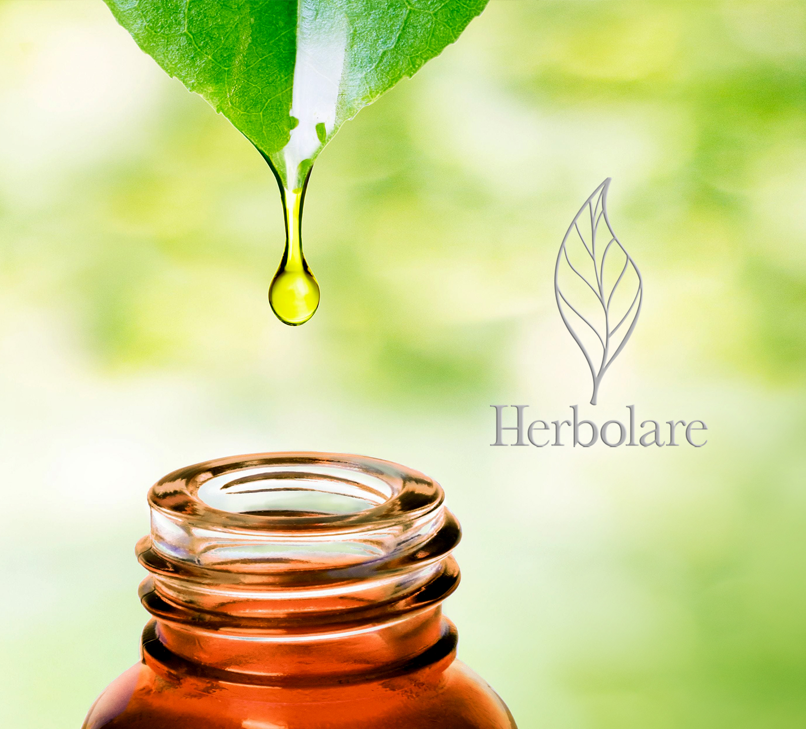 Aceite esencial Herbolare Eucalipto 15 ml. Ampliamente utilizado para el resfriado común.
