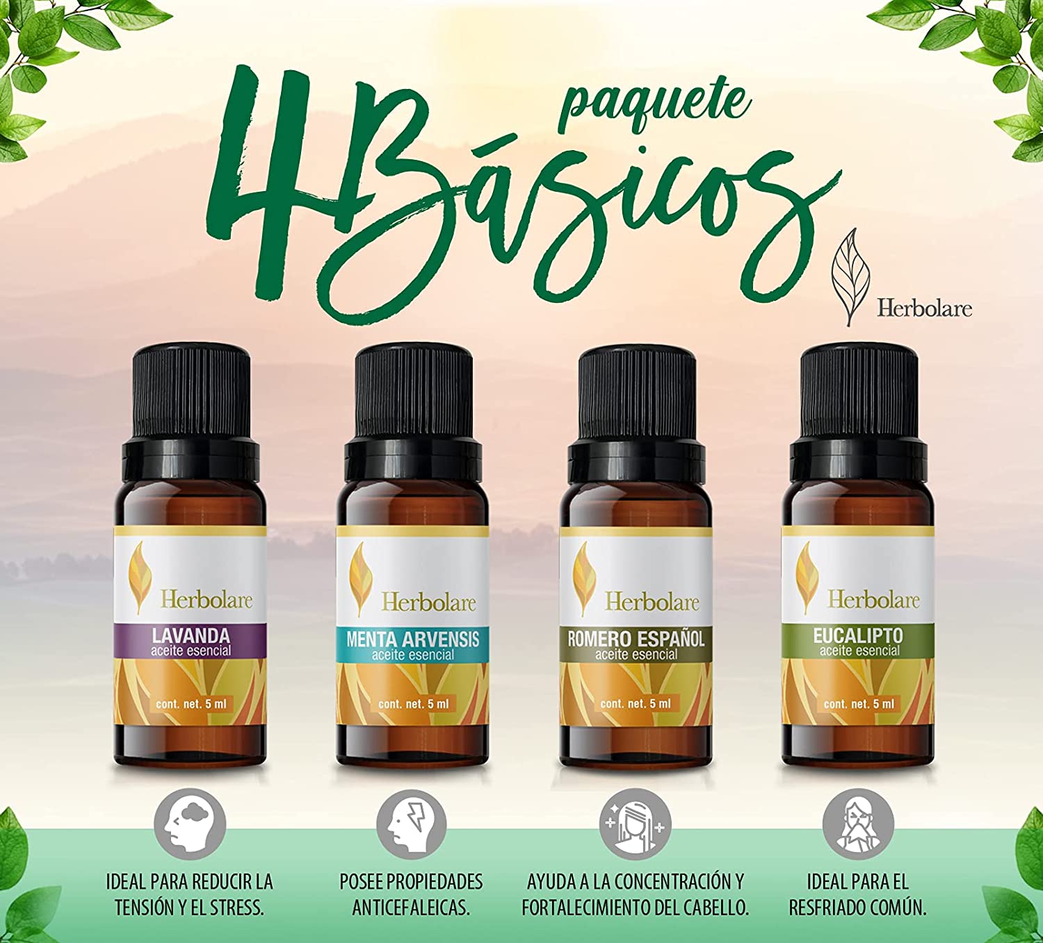 Paquete los 4 básicos Herbolare 5 ml. Lavanda, Eucalipto, Menta Arvensis y Romero 100% puros.