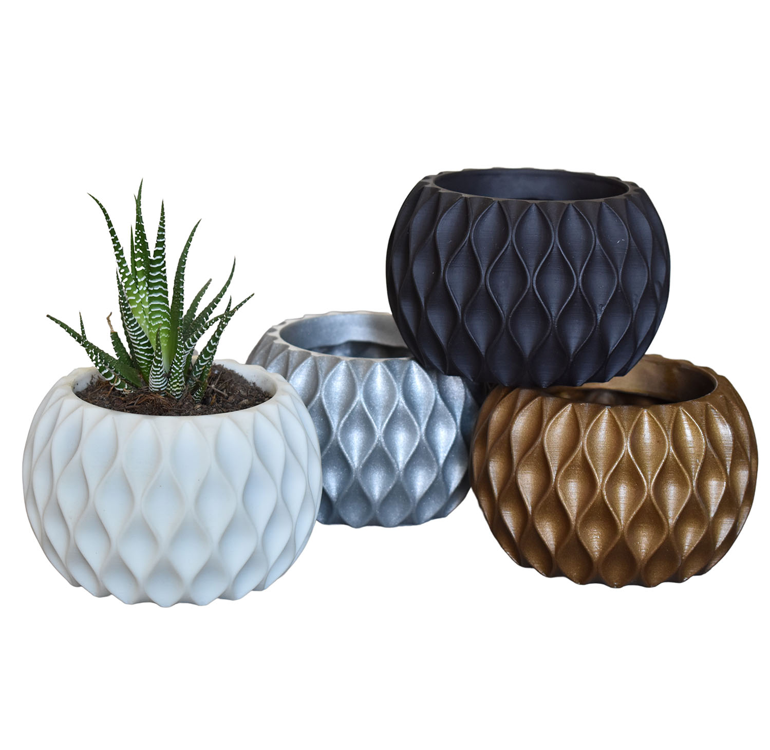 Set De Macetas Minimalistas Para Interior Suculenta Cactus