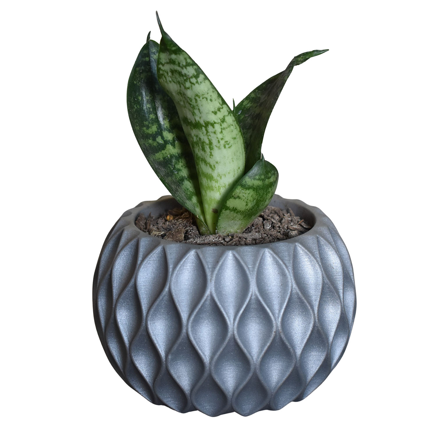 Set De Macetas Minimalistas Para Interior Suculenta Cactus