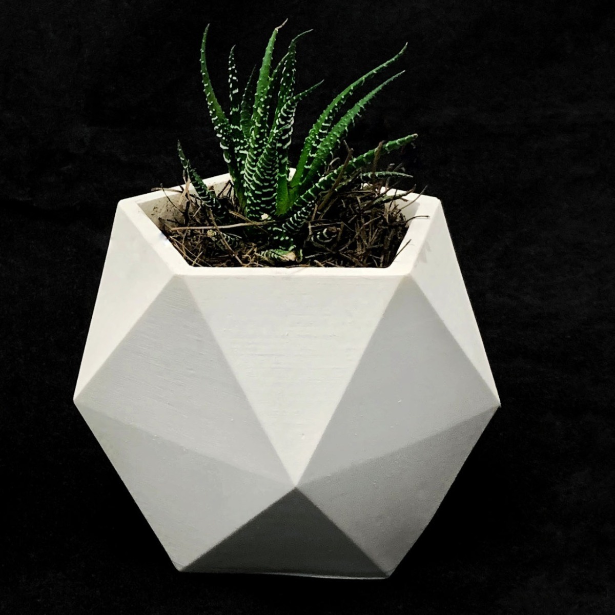 Maceta Minimalista Blanca  Interior Suculenta Cactus