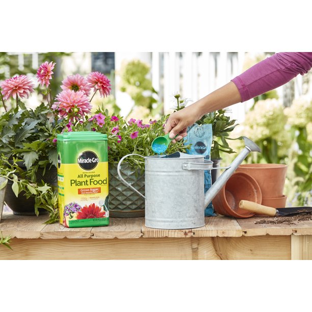 Fertilizante para plantas Miracle Gro 5 libras