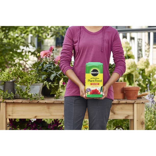 Fertilizante para plantas Miracle Gro 5 libras