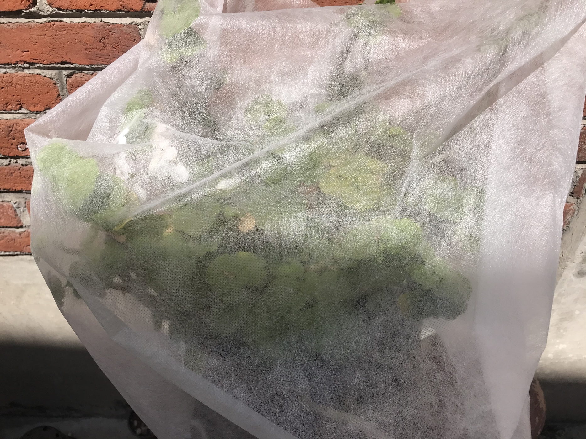 Malla Agrícola Antiheladas. 1.8m de ancho x 20m de largo