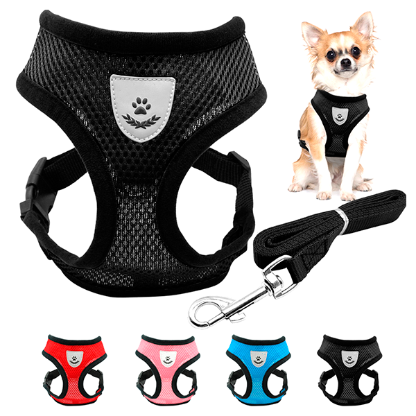 Pechera arnes con correa parro gato con antireflejante 