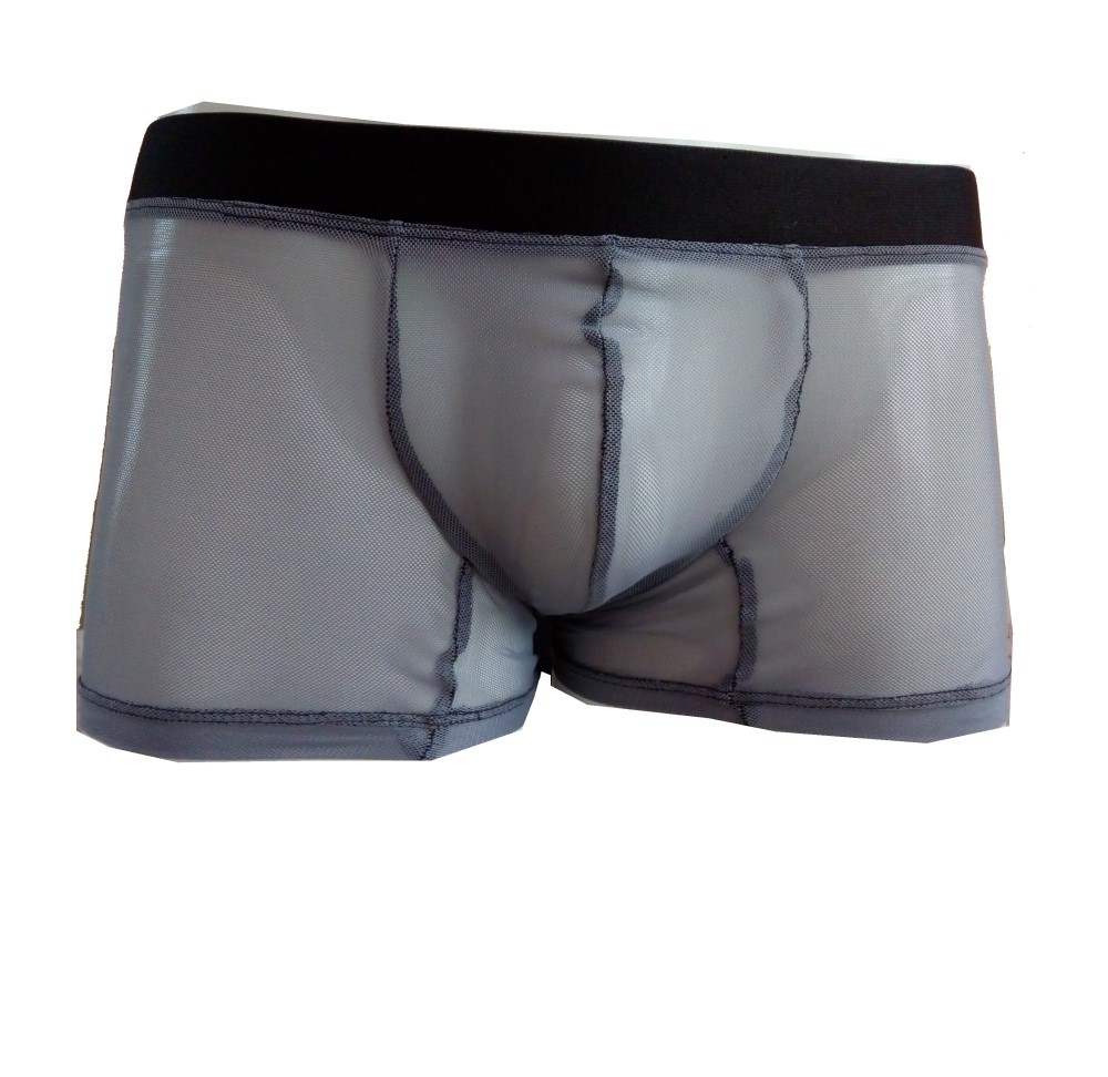 Modelos best sale boxer transparente