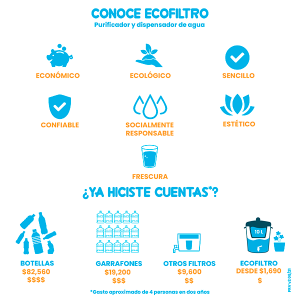 Ecofiltro Purificador Dispensador y Filtro de Agua Cerámica Grande (20 L) Gris