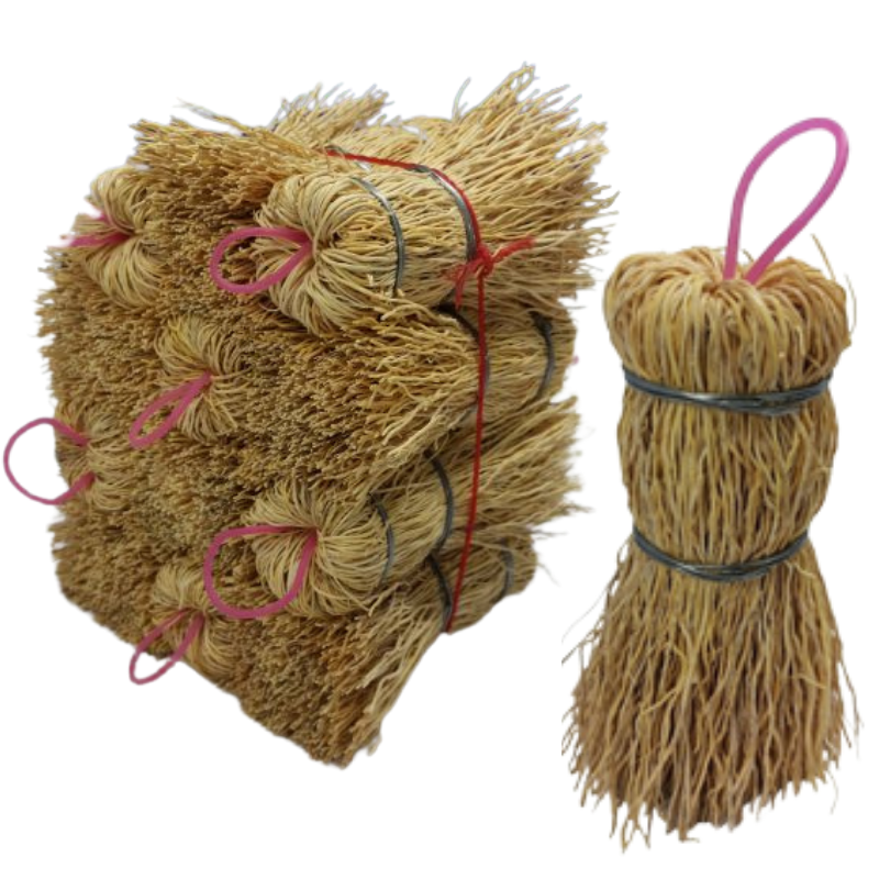 Escobeta Raiz Mini Docena Pjar