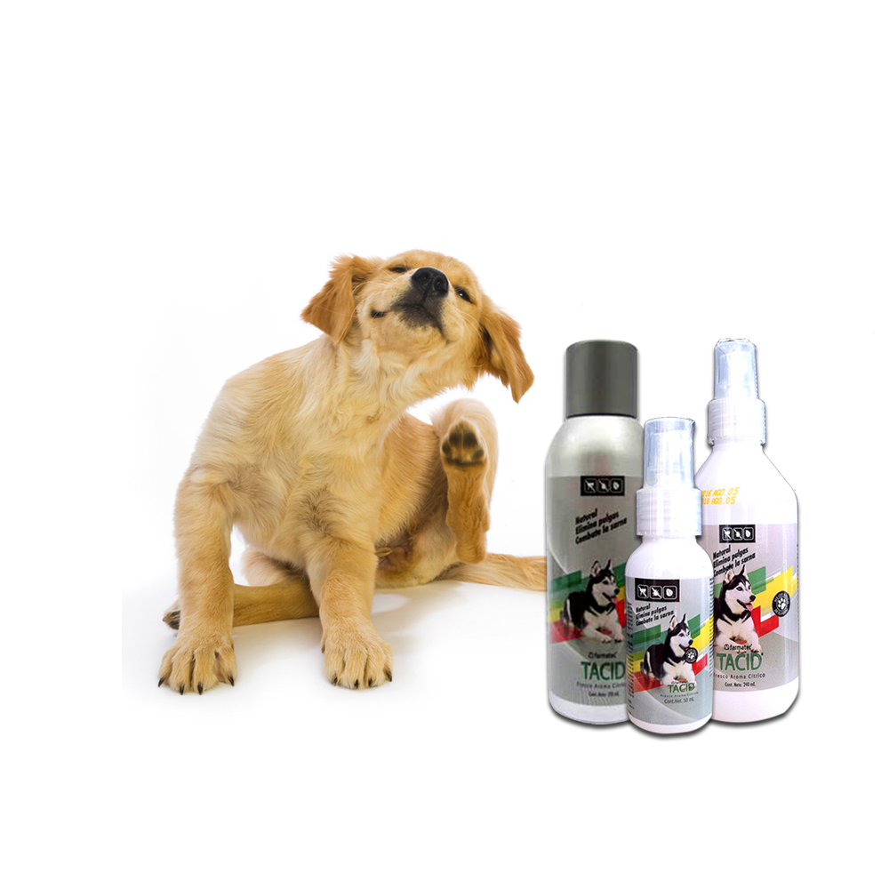 Insecticida Natural para Pulgas, Garrapatas y Sarna TACID 240 ml (Spray)