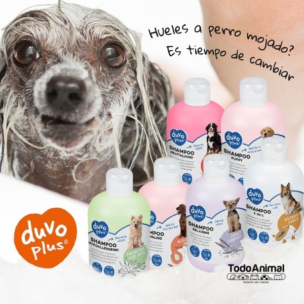 Shampoo Duvo Perros Cachorros A Base De Manzanilla, 250 Ml