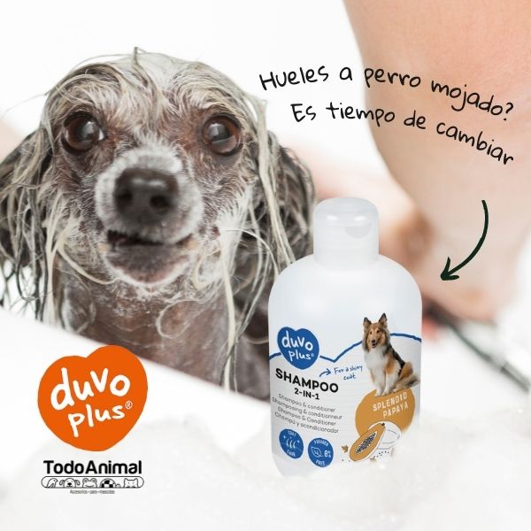 Shampoo Duvo Para Gatos, Efecto Cuidado De Pelaje, 250ml