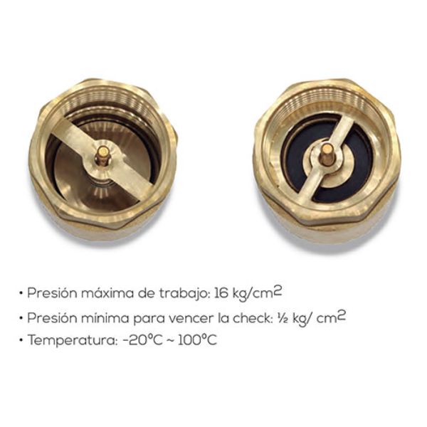 Válvula Check Anti-retorno Tuberías 1 1/2  Npt Vertical