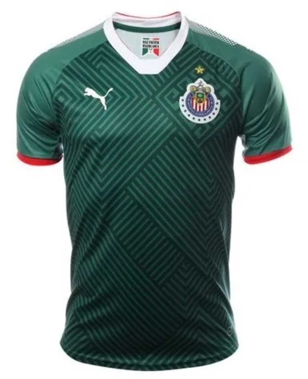 jersey chivas alternativa 17/18 VERDE