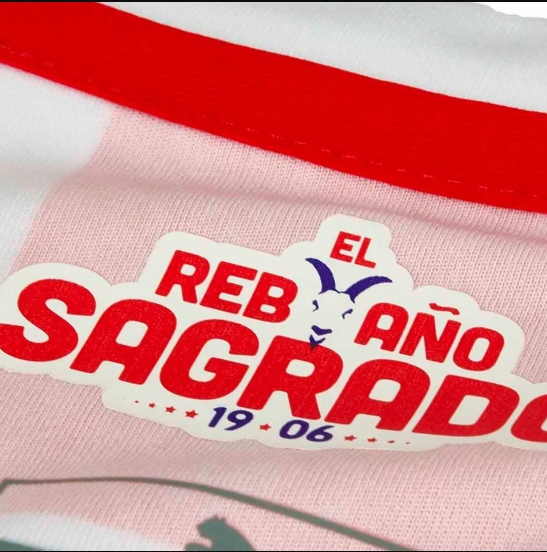 JERSEY DE LAS CHIVAS LOCAL 2017/2018 MANGA LARGA