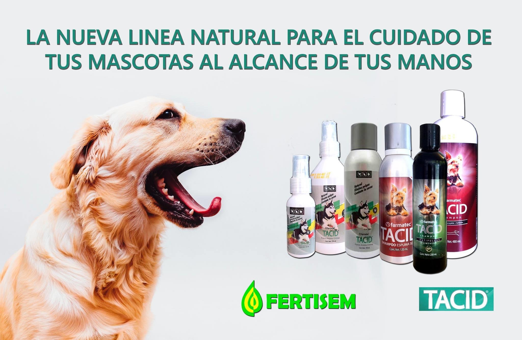 Shampoo Natural Antipulgas y Garrapatas para Perros TACID D'LIMONENO 250 ml