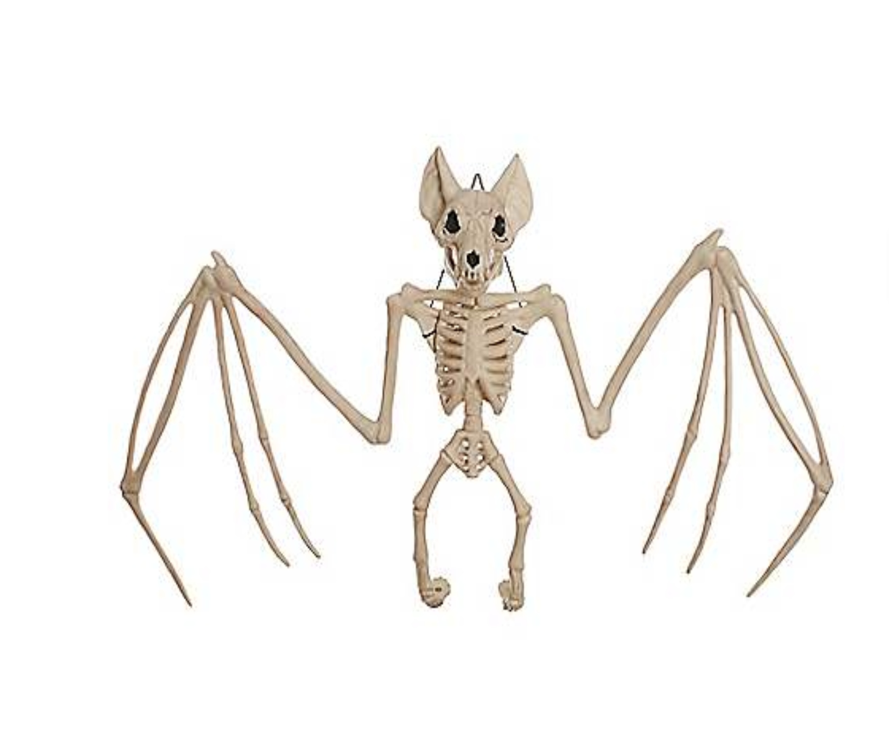 Esqueleto de murciélago de 22,5 pulgadas - Decoraciones HALLOWEEN 
