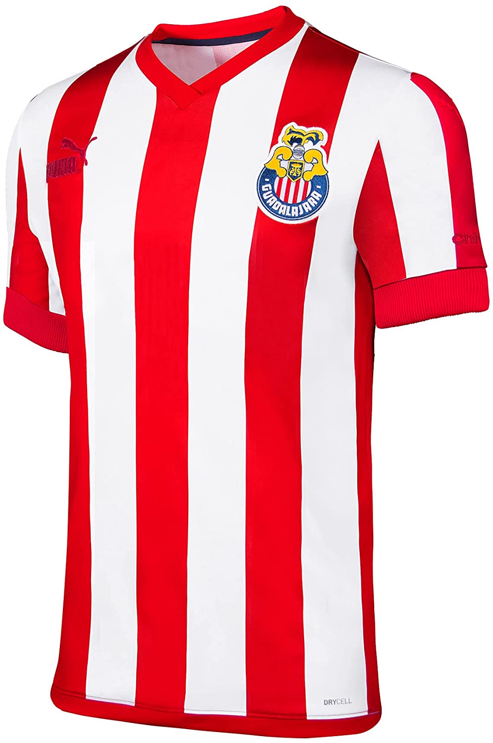Jersey Playera Puma de las Chivas del Guadalajara Edicion Especial 115 Aniversario