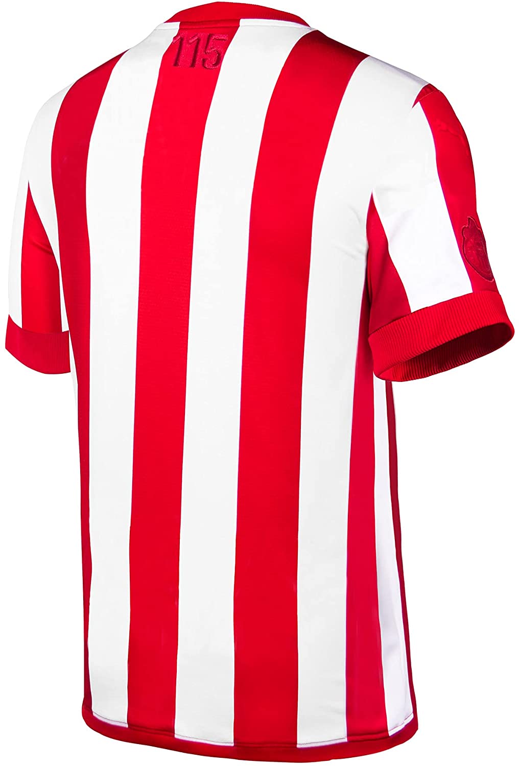 Jersey Playera Puma de las Chivas del Guadalajara Edicion Especial 115 Aniversario