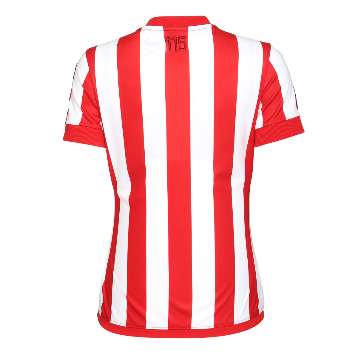 Jersey Playera Puma de las Chivas del Guadalajara Edicion Especial 115 Aniversario