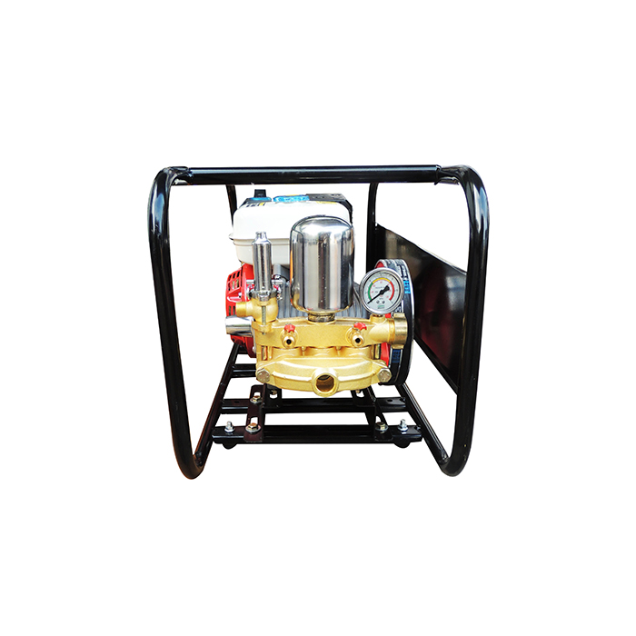 ASPERSORA PARIHUELA SHIRAIWA SHI-030-B