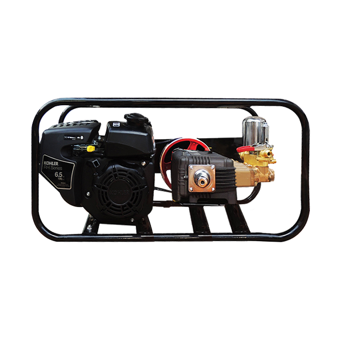 ASPERSORA PARIHUELA SHIRAIWA SHI-030-RH265