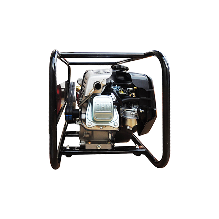 ASPERSORA PARIHUELA SHIRAIWA SHI-030-RH265