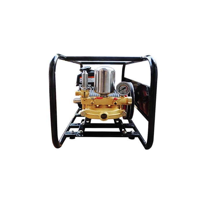 ASPERSORA PARIHUELA SHIRAIWA SHI-030-RH265