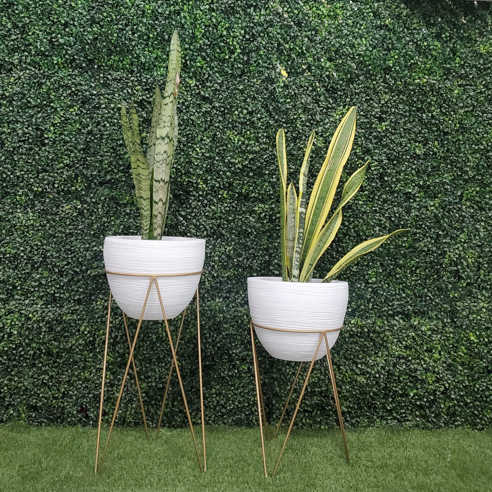 Set Maceta De Plástico Textura Blanco Ch Base Metal Int/ext