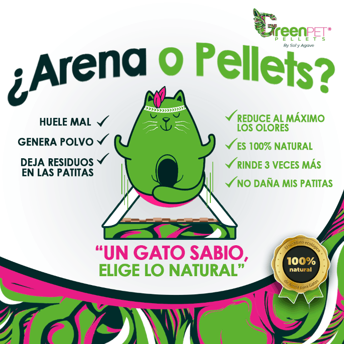 Green Pet: Arena Ecológica para Gatos. 5.4kg. Caja que se transforma en Casita. Elimina el Olor, Absorción Total, 100% Madera, Biodegradable. 